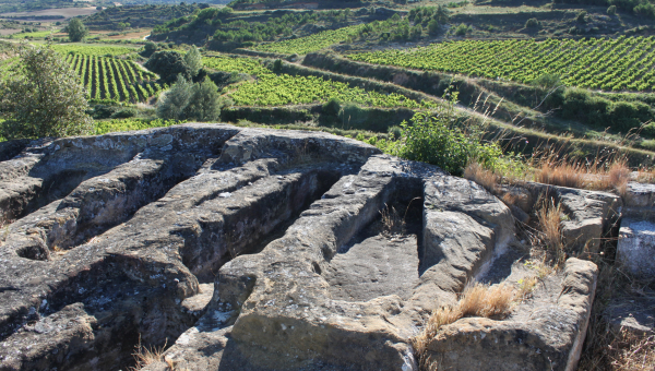 Necrópolis del Convento de Pangua